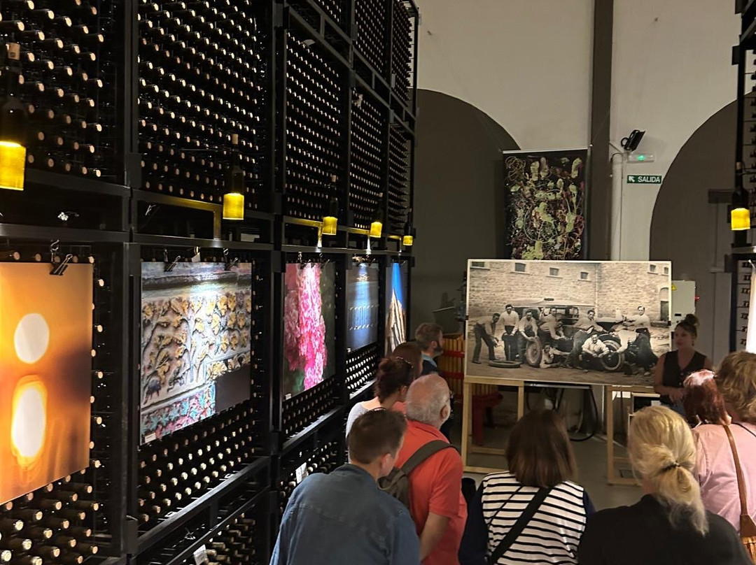 Bodegas Ochoa-Olite必去景点