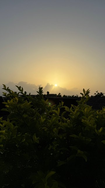 阿尔托斯卡诺弘多酒店-官方