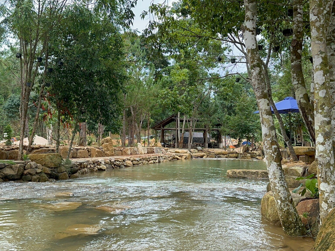 Cat Farm-保禄县必去景点