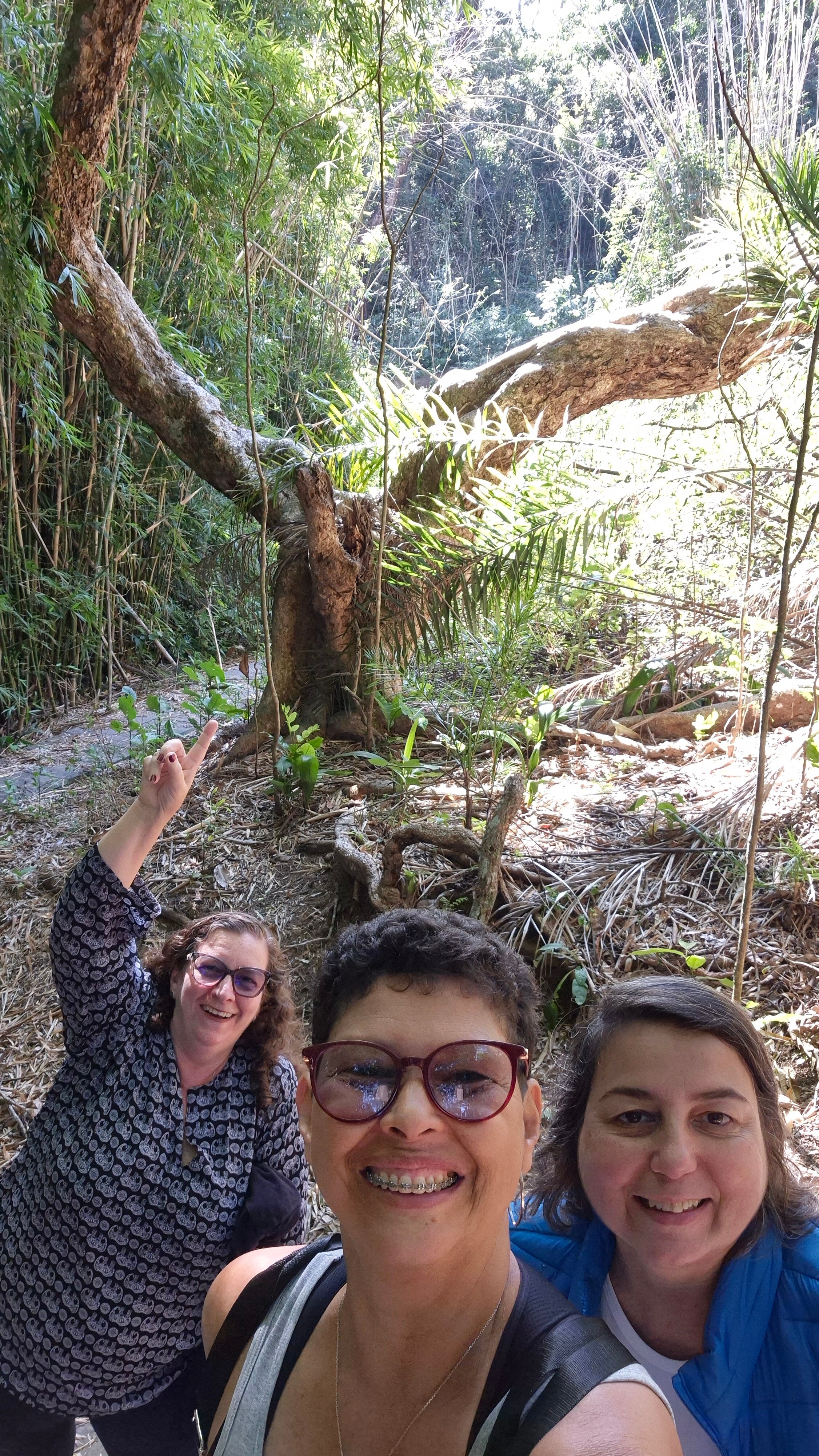 Hotel Fazenda Mangalarga-官方