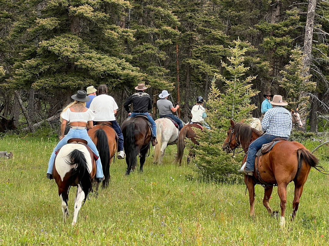 Flying Pig Adventure Company-加德纳必去景点