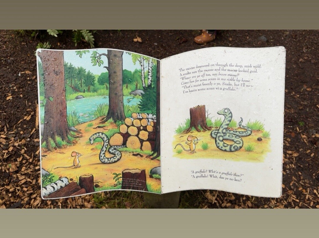 Ardkinglas Woodland Garden-Cairndow必去景点