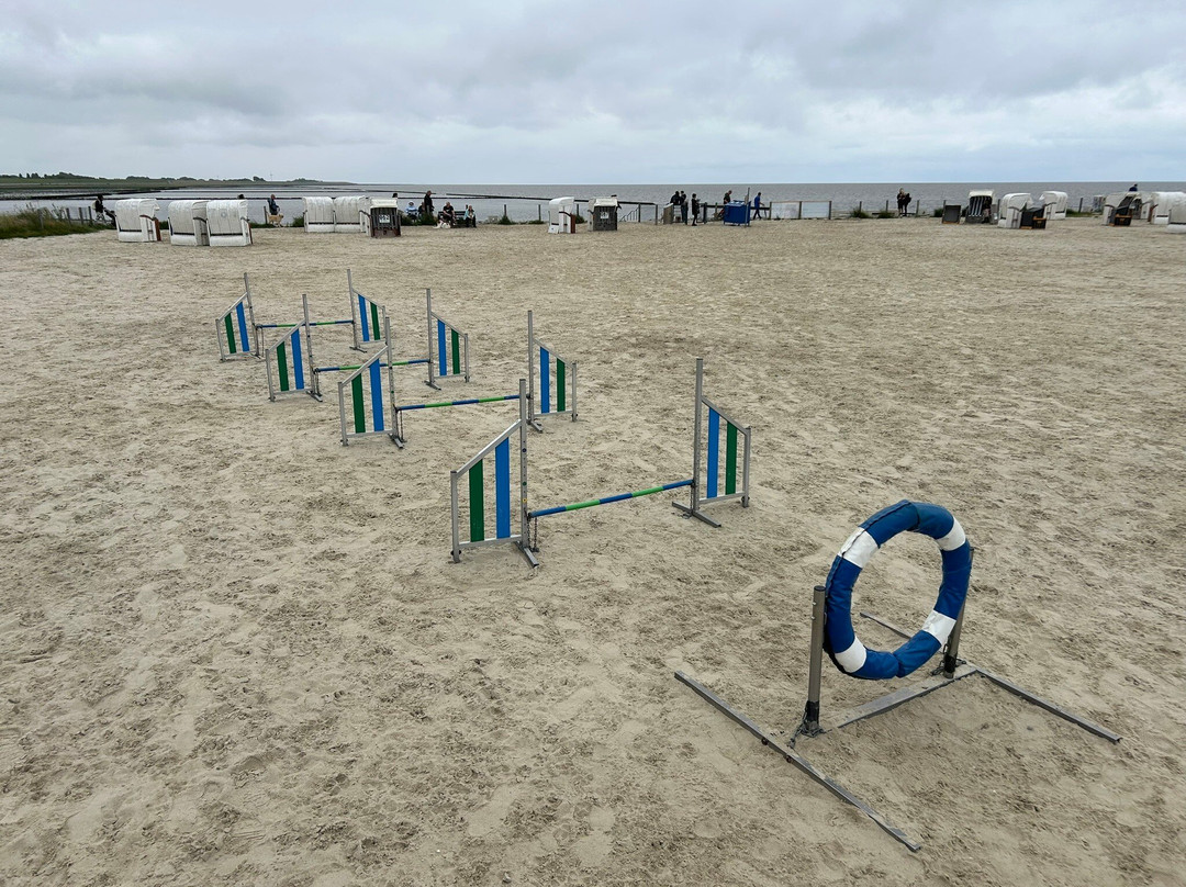 Hundestrand Norddeich