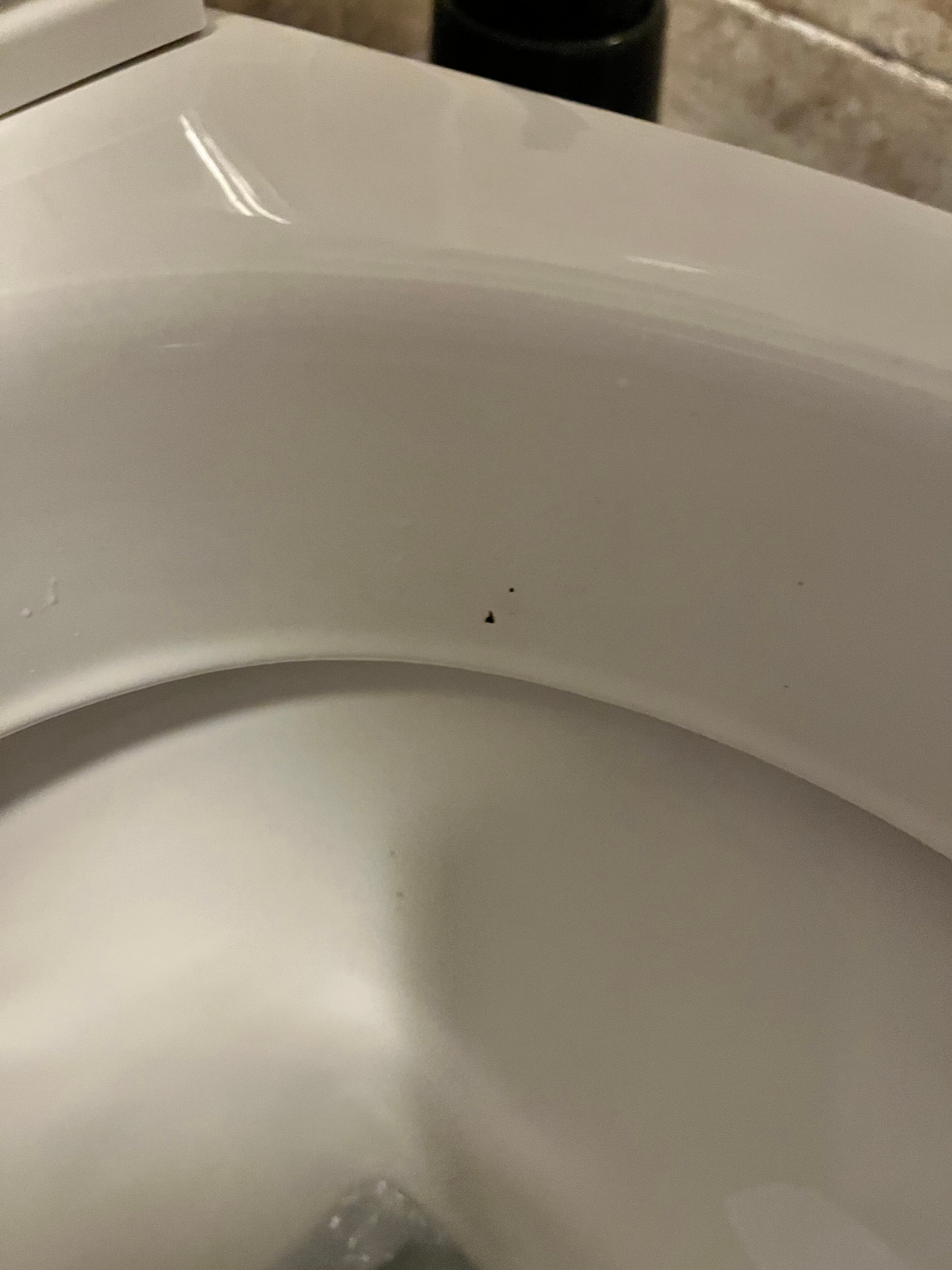 雅诗阁酒店-官方