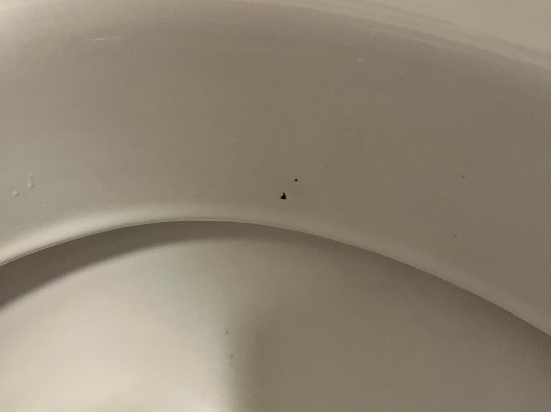 雅诗阁酒店主图