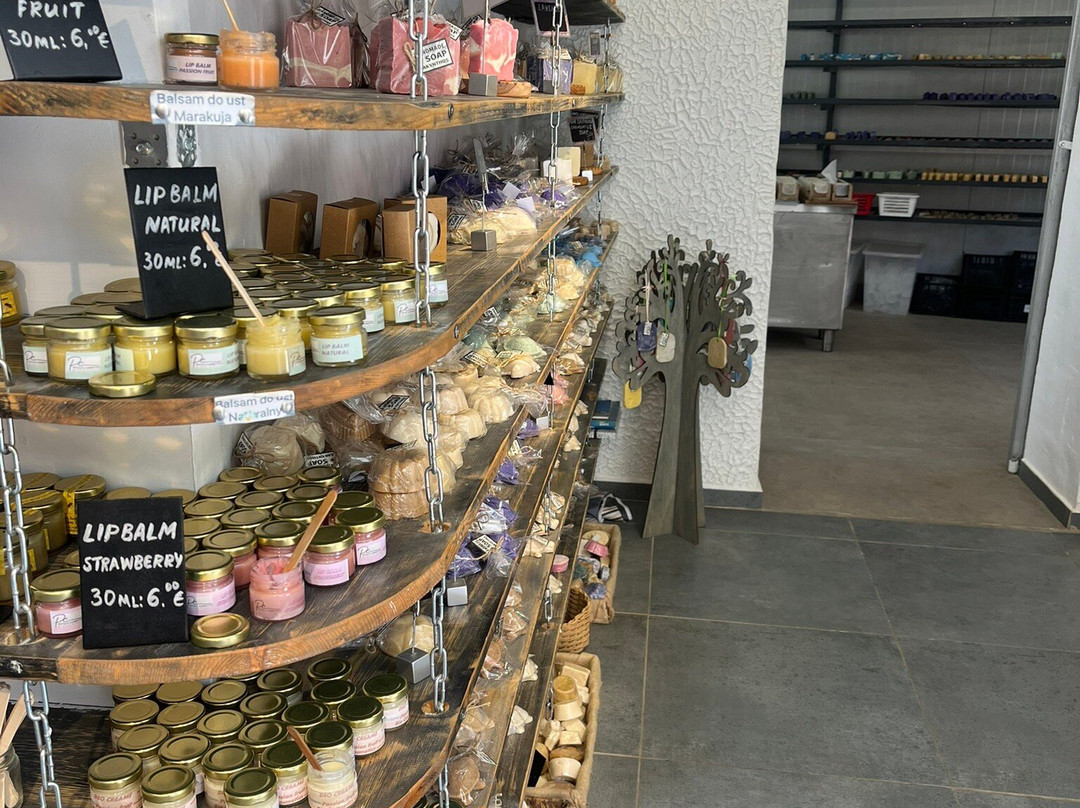 Olive Tree-扎金索斯必去景点