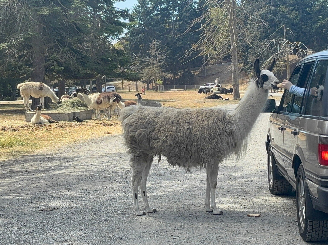 奥林匹克比赛场-塞奎姆必去景点