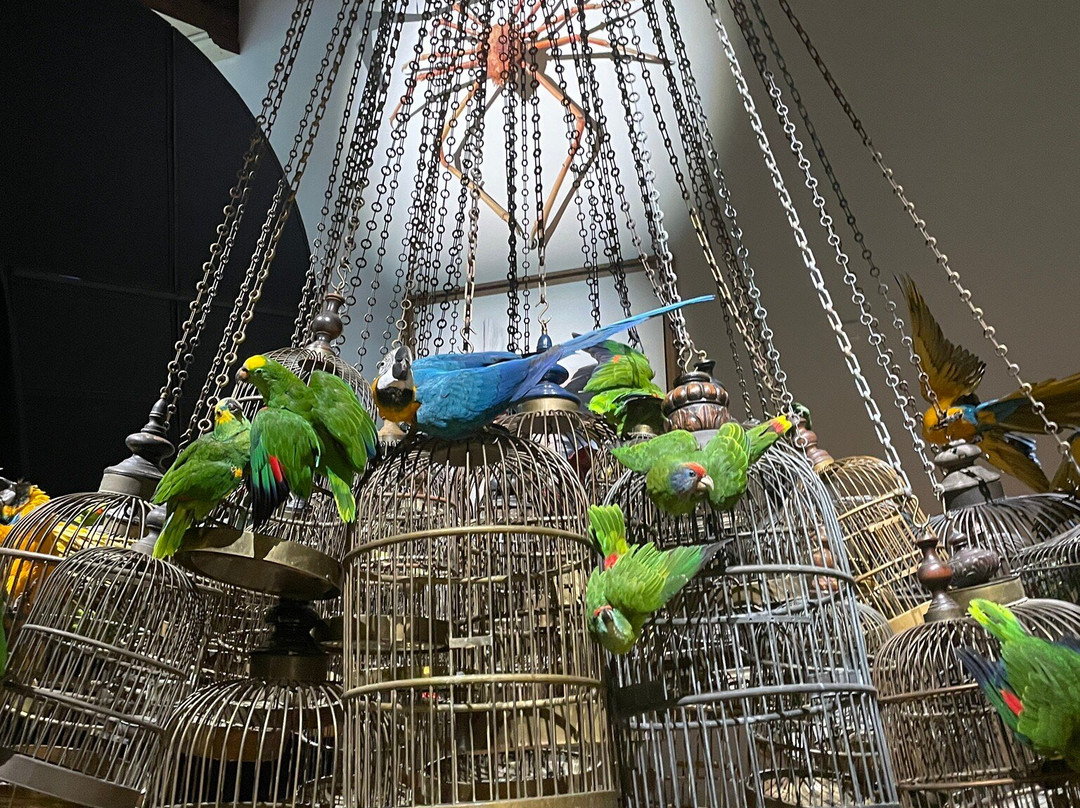 Art Zoo Museum-阿姆斯特丹必去景点