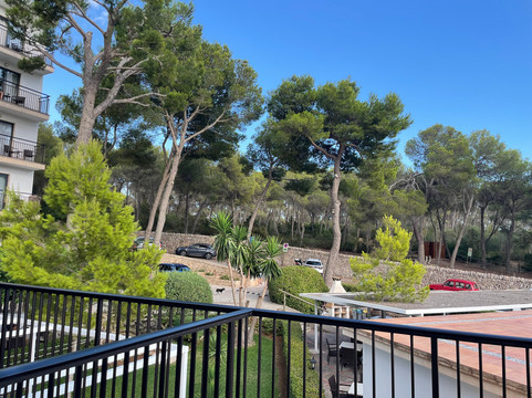 普拉亚蒙卓葛酒店(Playa Mondrago Hotel Apartments)主图