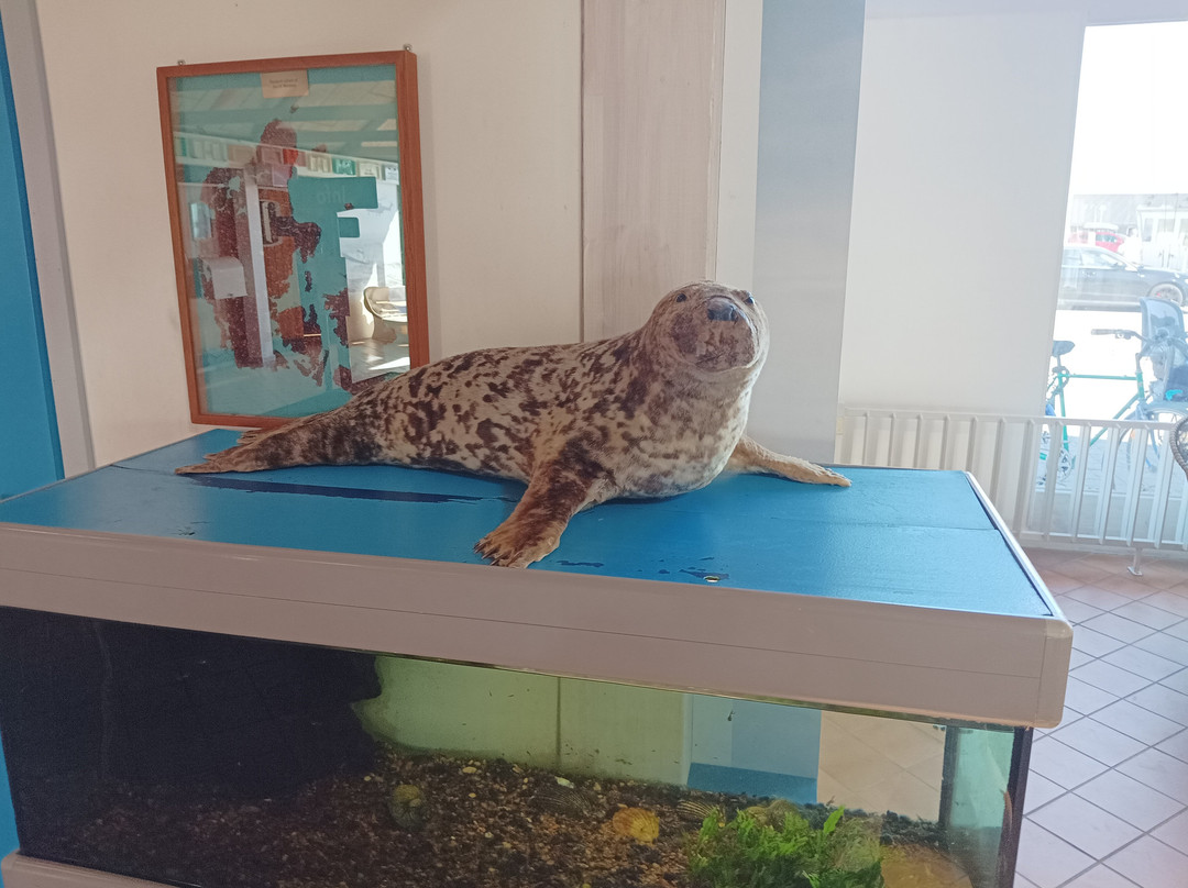 Fiskeriets Hus-Hvide Sande必去景点