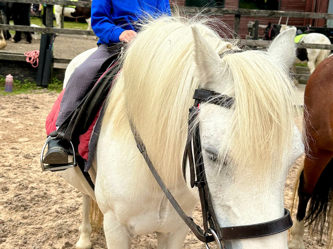 Harness Change At Cumbria Rural Academy Cic-Backbarrow必去景点