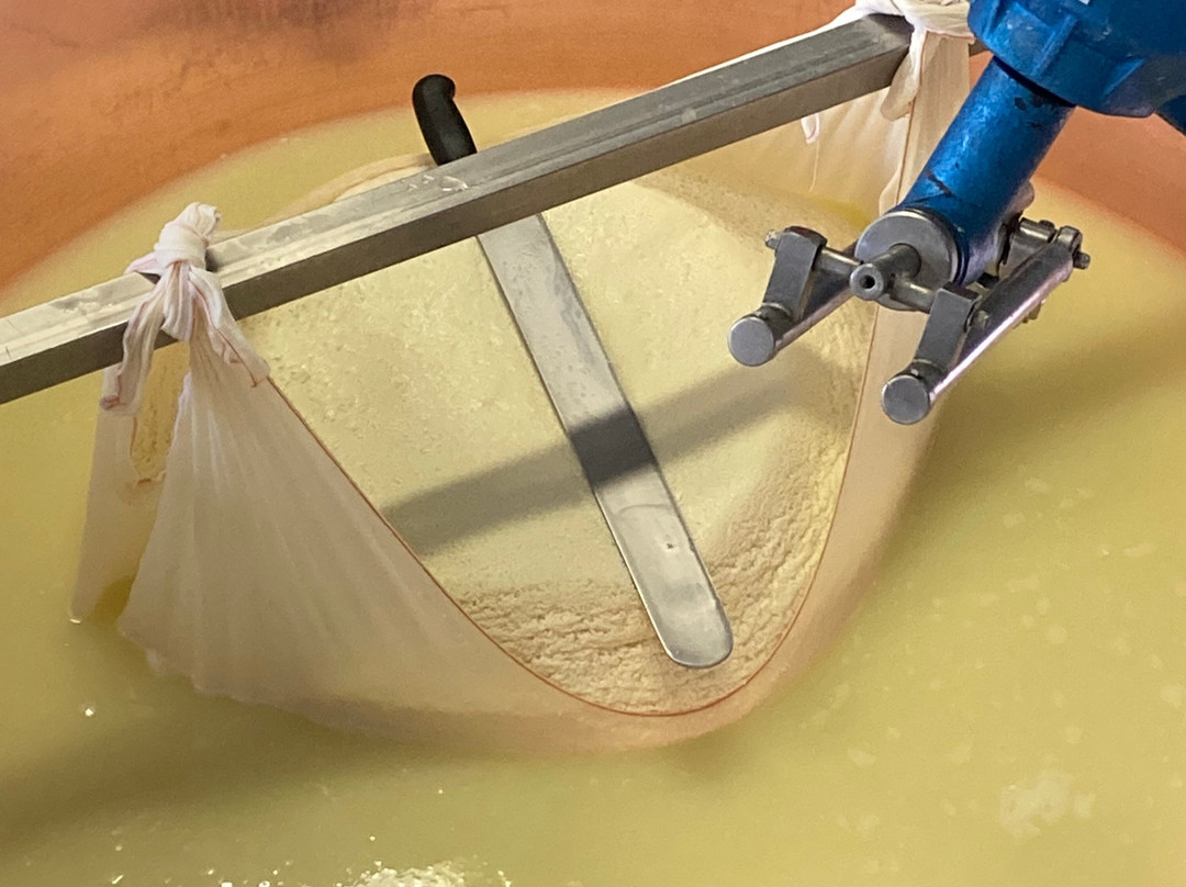 Caseificio San Pier Damiani-帕尔马必去景点