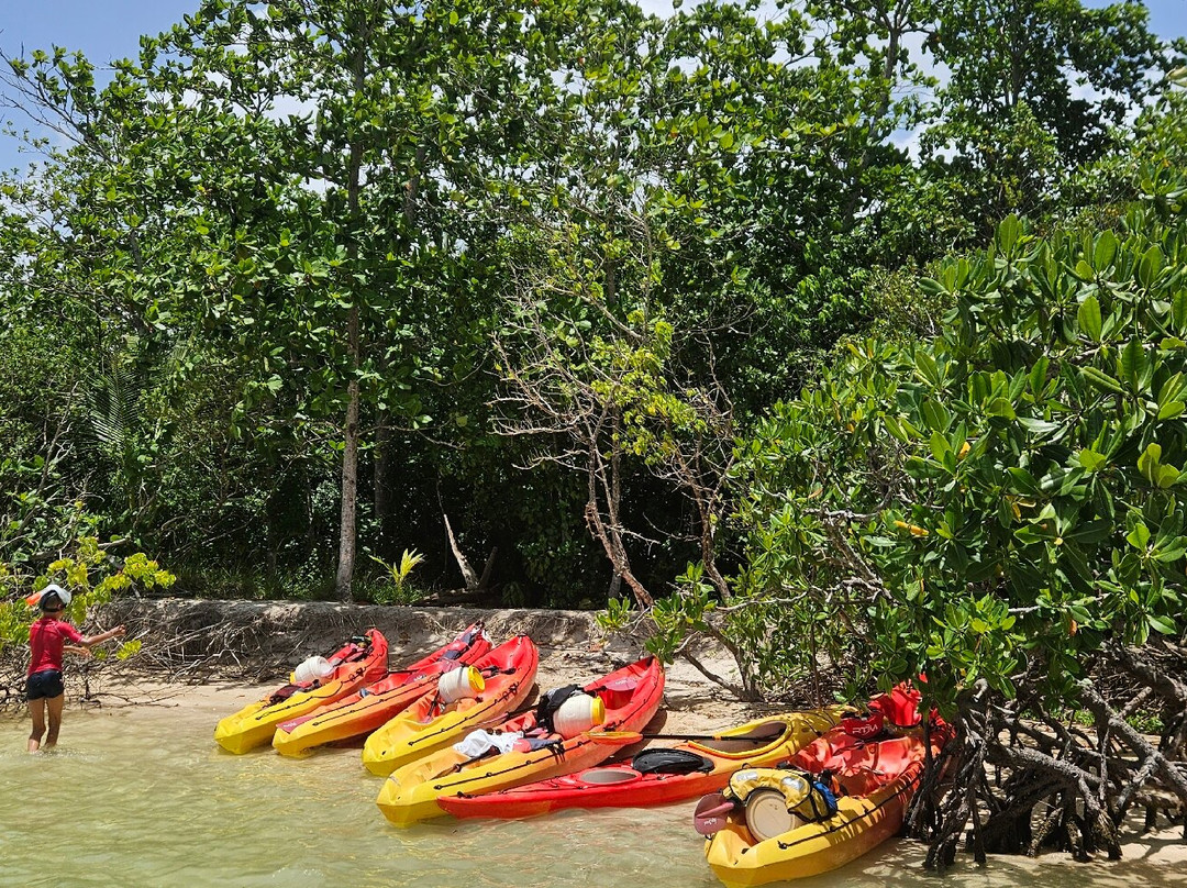 TI-Evasion Kayak de mer en Guadeloupe-Pointe-a-Pitre必去景点
