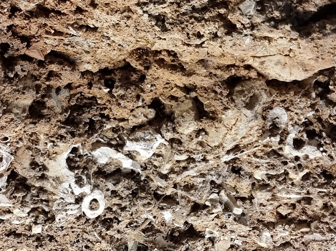 Prehistoric Cave Cueva de las Calaveras-Benidoleig必去景点