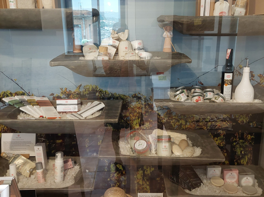 Secovlje Salina Nature Park-Seca必去景点