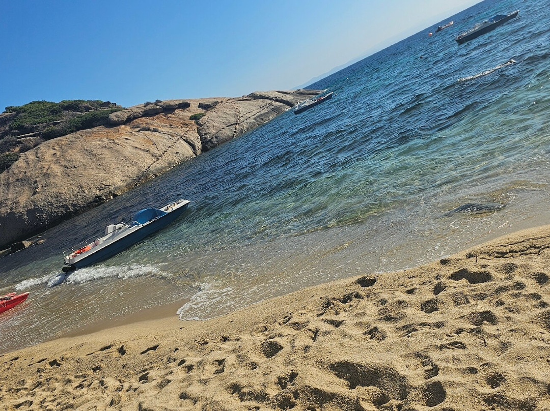 Spiaggia Arenella-Isola del Giglio必去景点