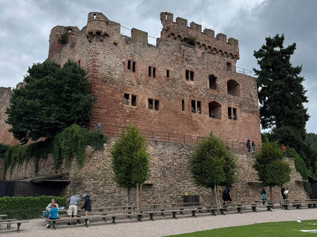 La Volerie des Aigles-Kintzheim必去景点