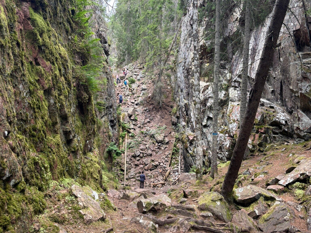 Naturreservatet Skurugata & Skuruhatt-Eksjo必去景点