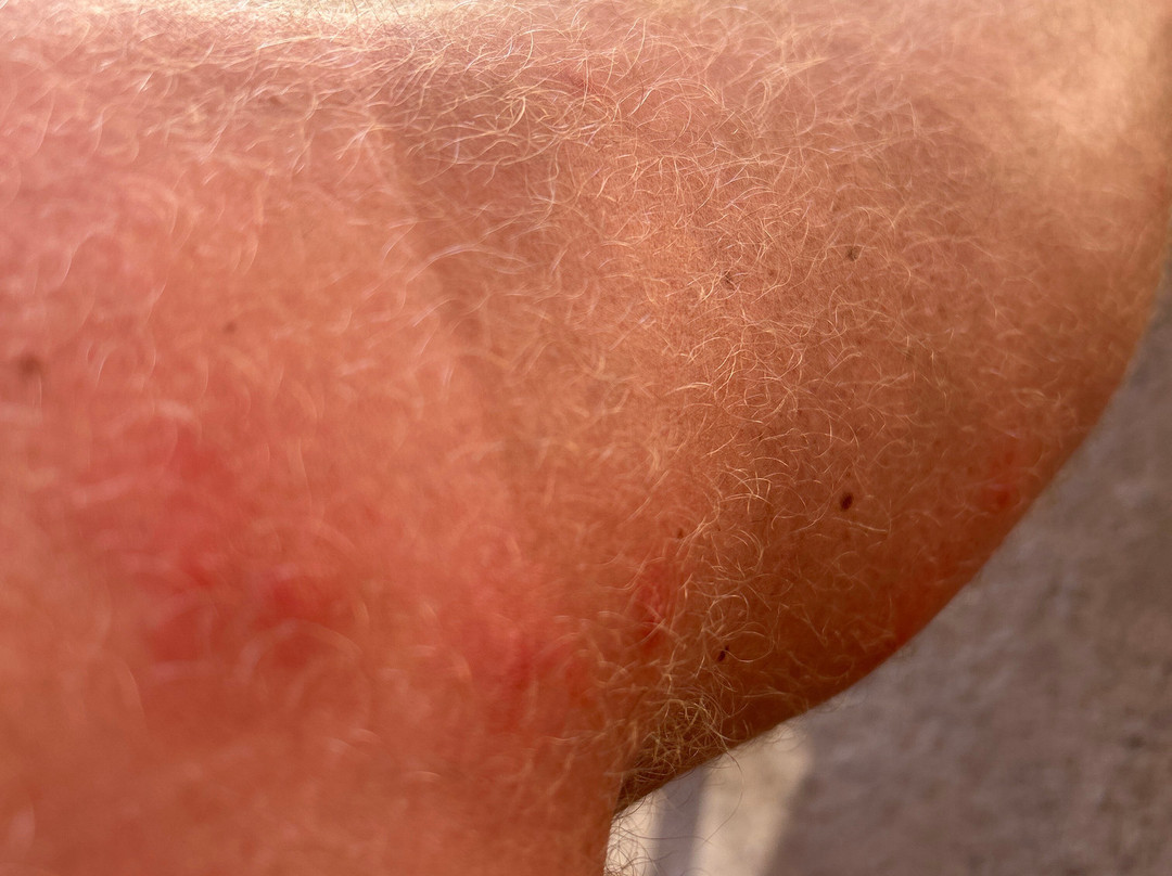 Go-Karts Mar Menor-Santiago de la Ribera必去景点