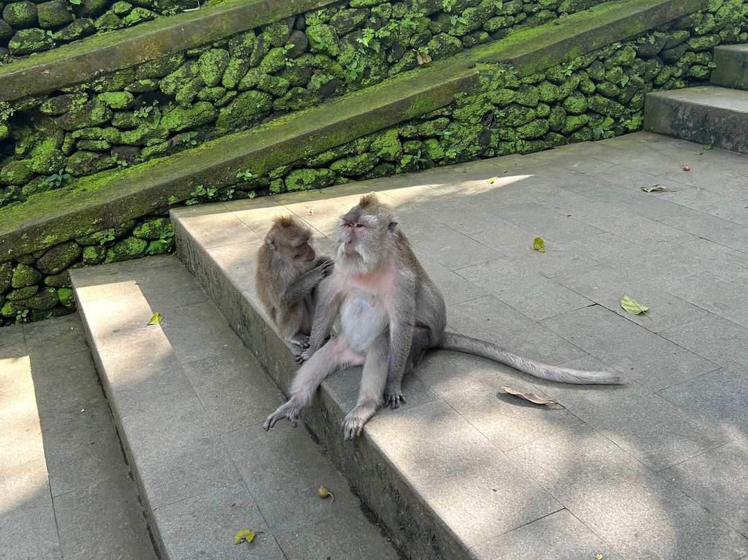 Bali Top Travels-登巴萨必去景点