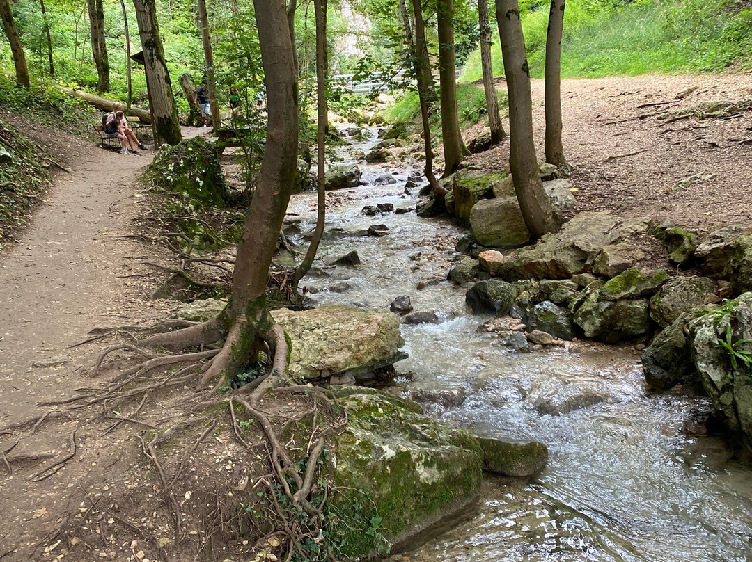 Parco delle Cascate di Molina-Molina必去景点
