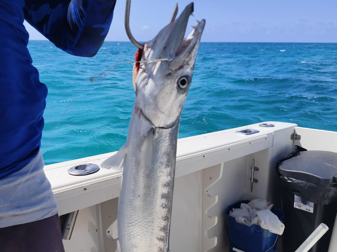 Waves Splitter Charters-Leeward Settlement必去景点