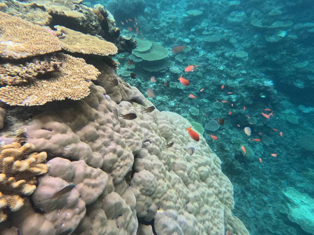 IRIOMOTE ADVENTURE PiPi-竹富町西表岛必去景点