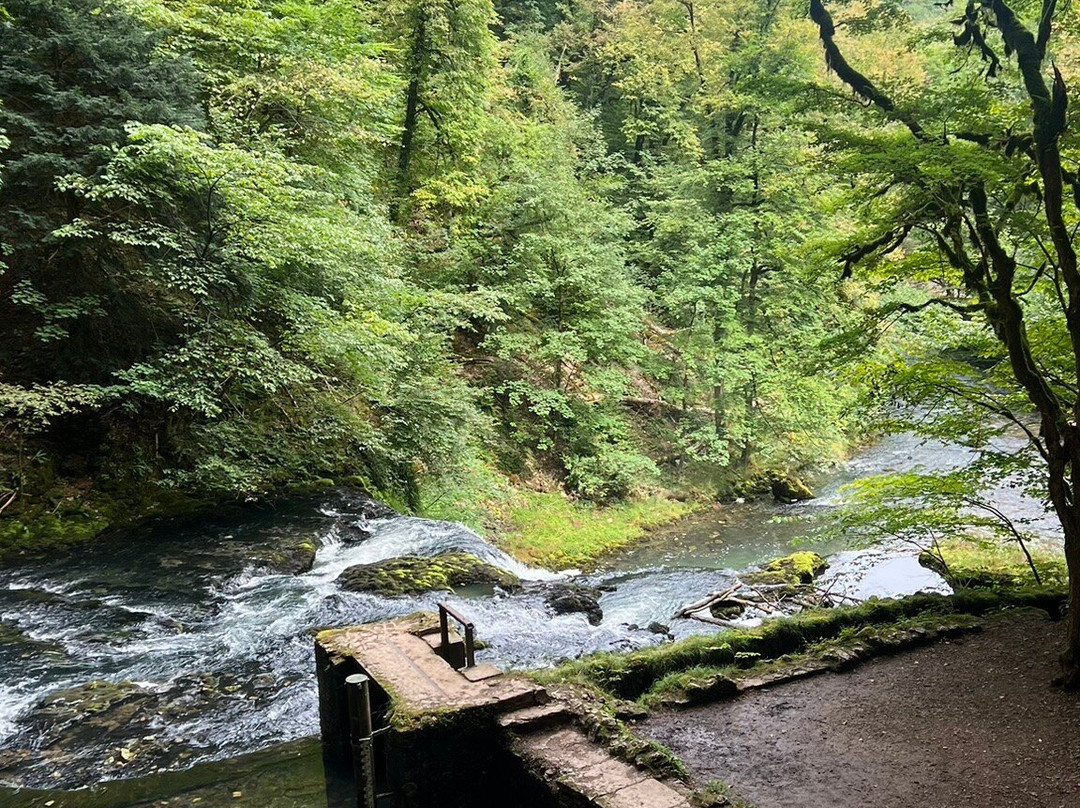 Source du Lison-Nans-sous-Sainte-Anne必去景点