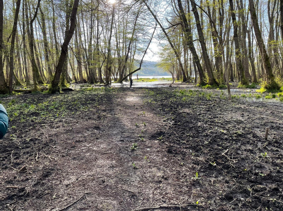 Laghi Di Monticchio-Monticchio Bagni必去景点
