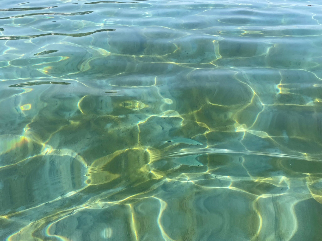 Platja De Sant Elm-Andratx必去景点