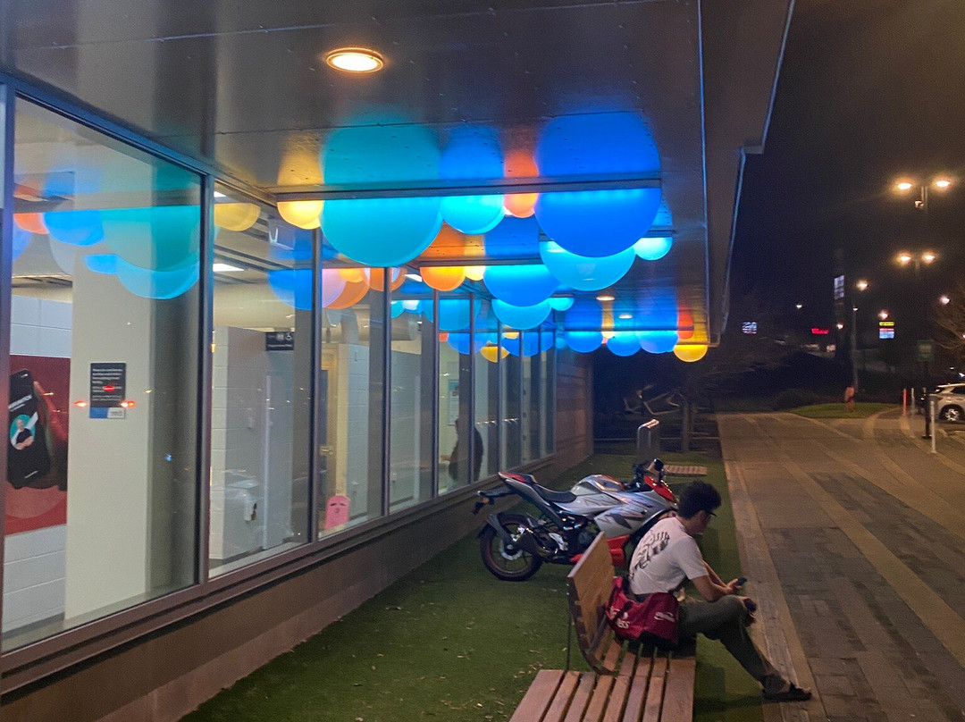 Albany Stadium Pool-奥尔巴尼必去景点