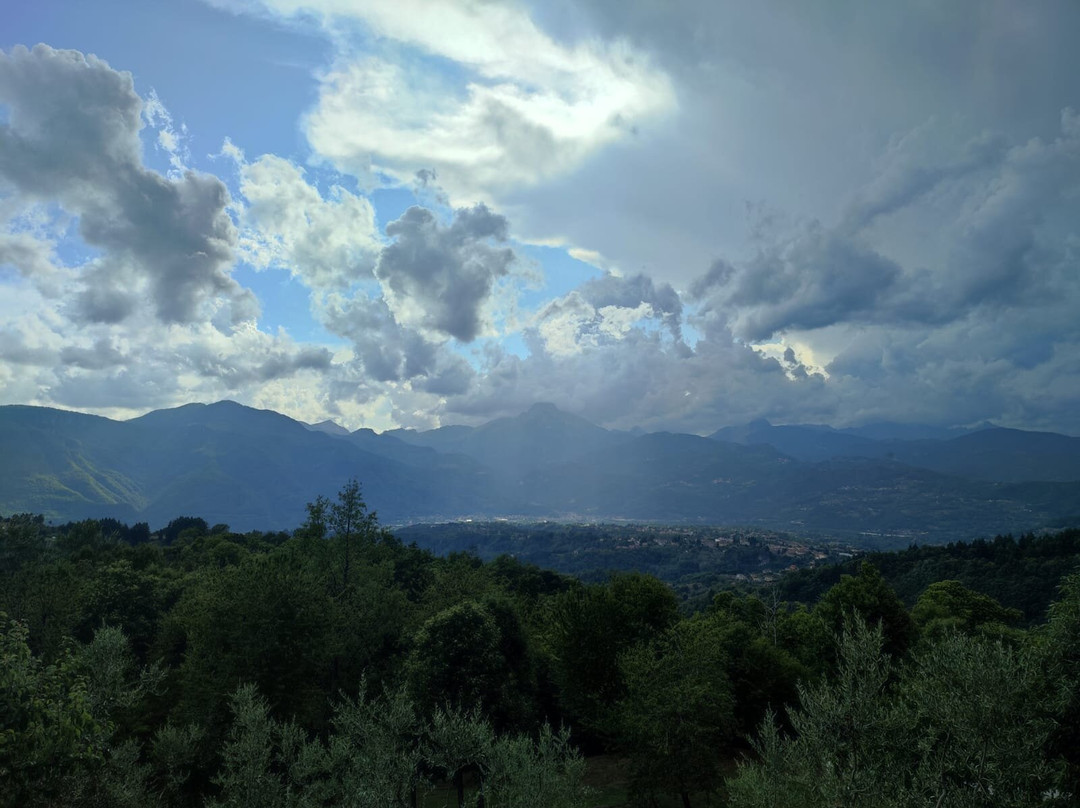 Agriturismo Il Tiglio主图