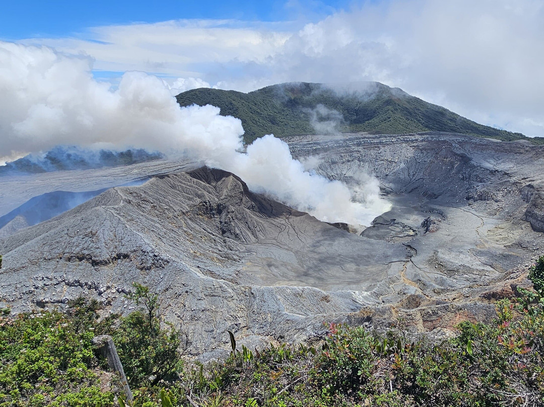 Nativo Transport & Travel