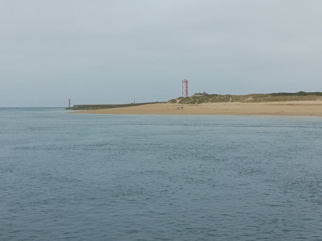 Navix-瓦讷必去景点