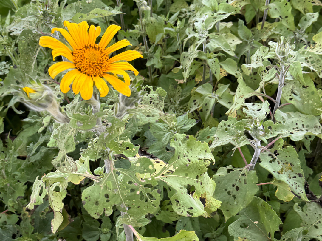 Viaja Teotihuacan-Teotihuacan Municipality必去景点