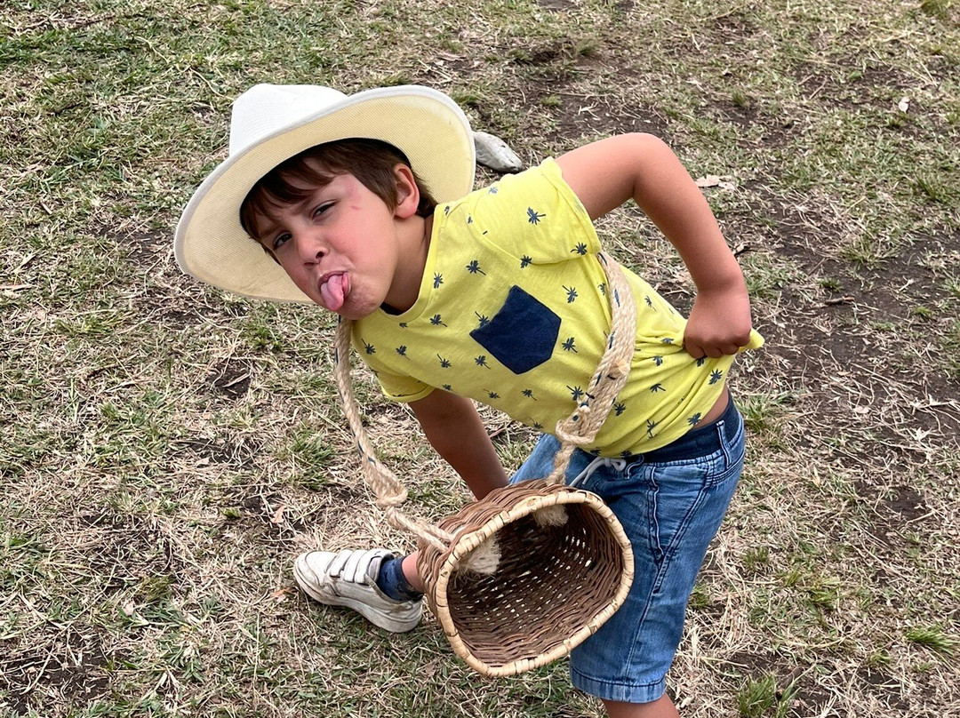 Finca Entrebosques Coffeetour主图