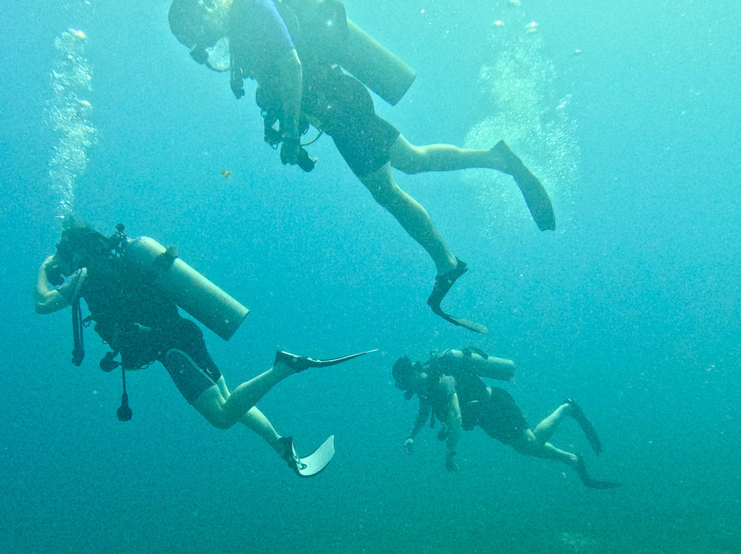 Uncharted Diving Expeditions-Playa Flamingo必去景点