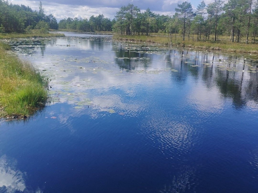 Mukri Bog-Kehtna必去景点