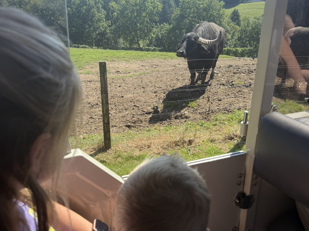 Parc Animalier De Rochehaut-Rochehaut必去景点