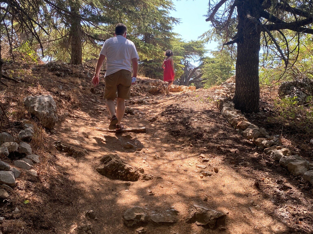 Shouf Cedars Reserve-Barouk必去景点
