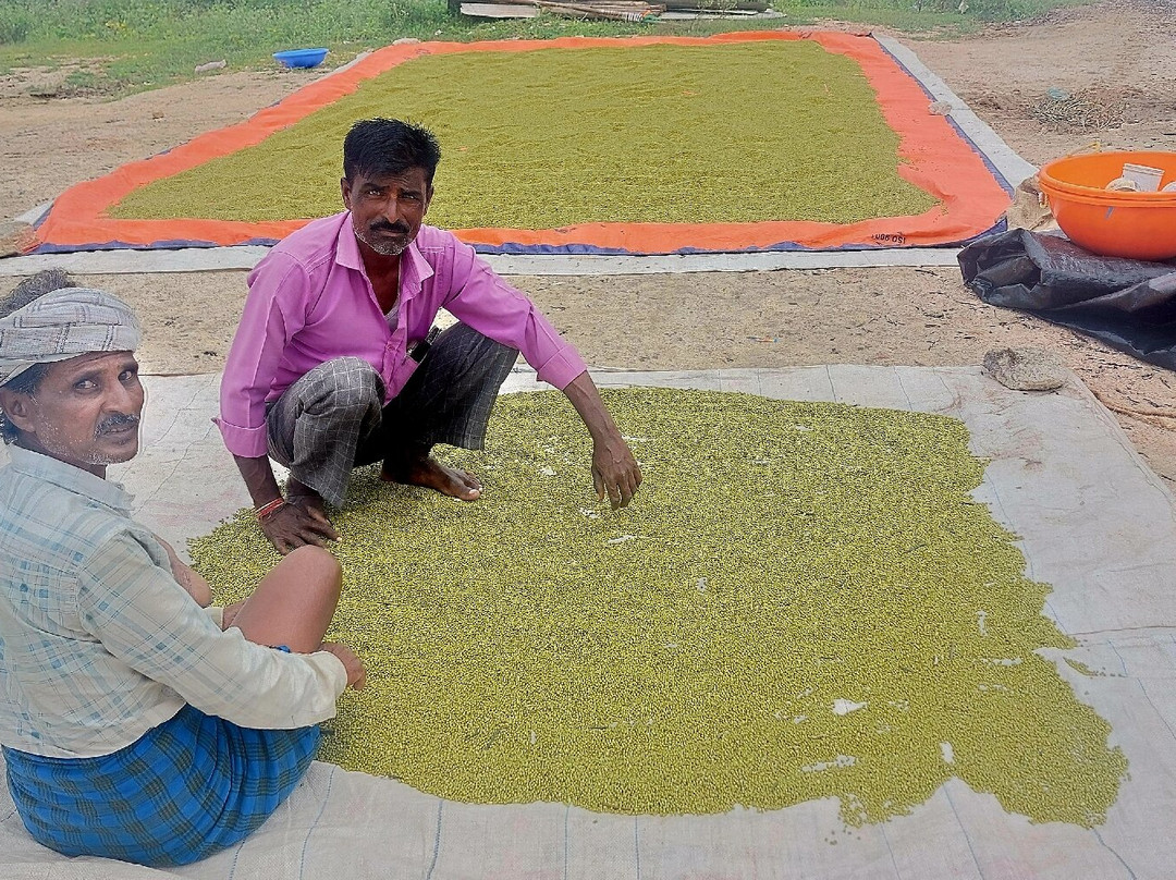 Suryatrips-Vizhinjam必去景点