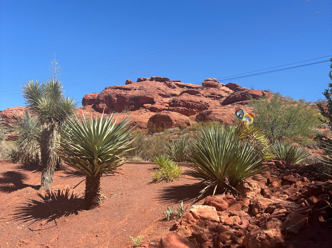 先锋公园-圣乔治必去景点