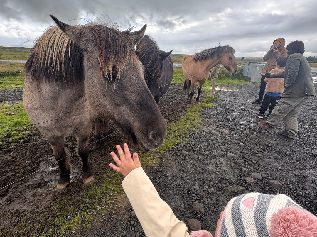 Golden Circle Taxi-雷克雅未克必去景点