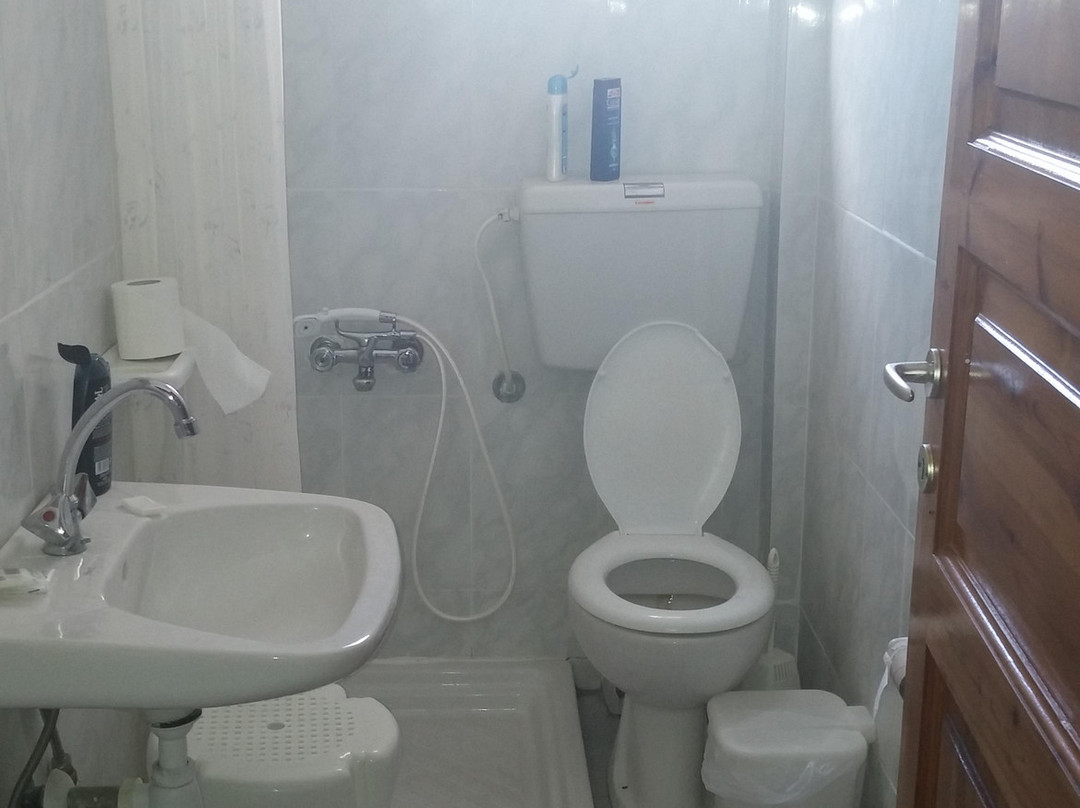 Pansion Prodromina主图