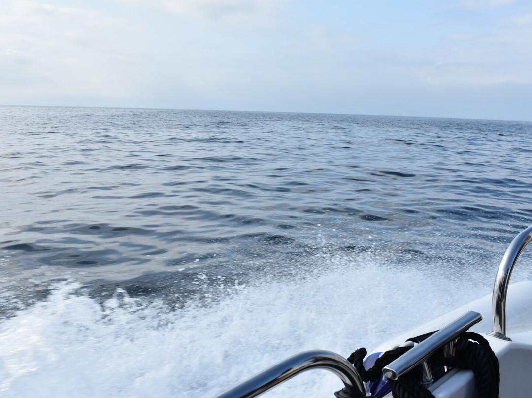 Skellig Falcon-Ballinskelligs必去景点