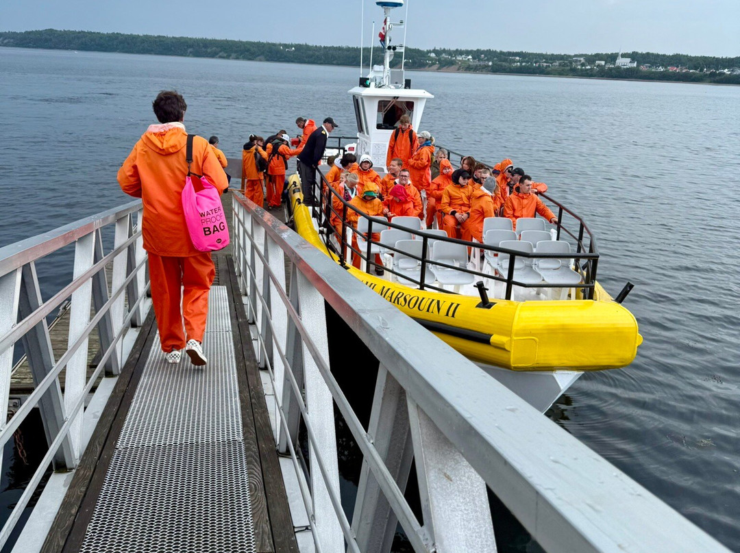 Croisières Aml | Tadoussac-泰道沙克必去景点