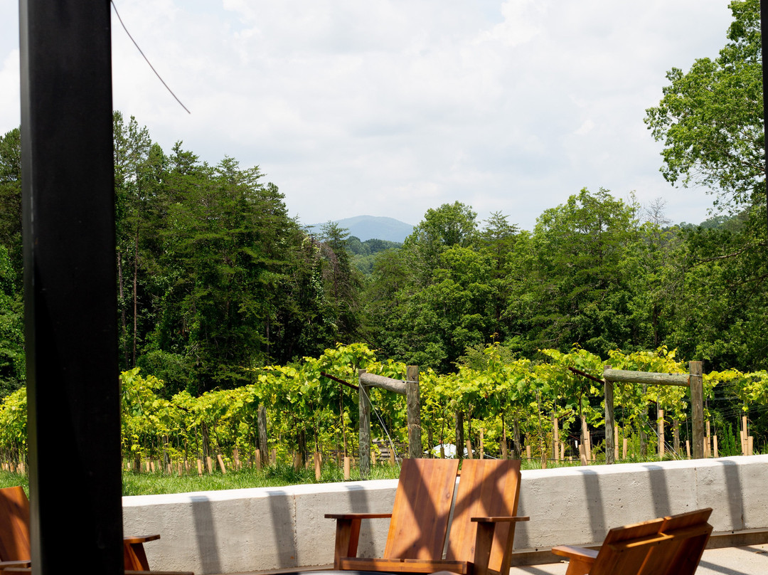 Doghobble Wine Farm-达洛尼加必去景点