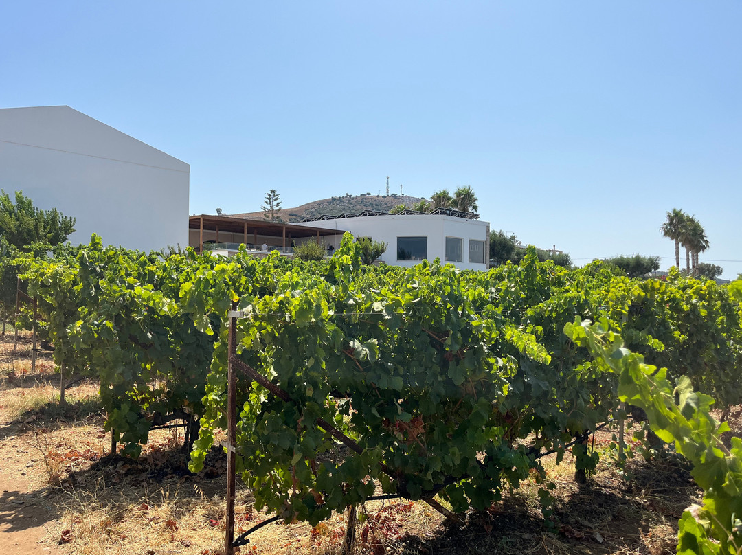 KTIMA AKRANI (Triantafyllopoulos Winery)-Kos Town必去景点