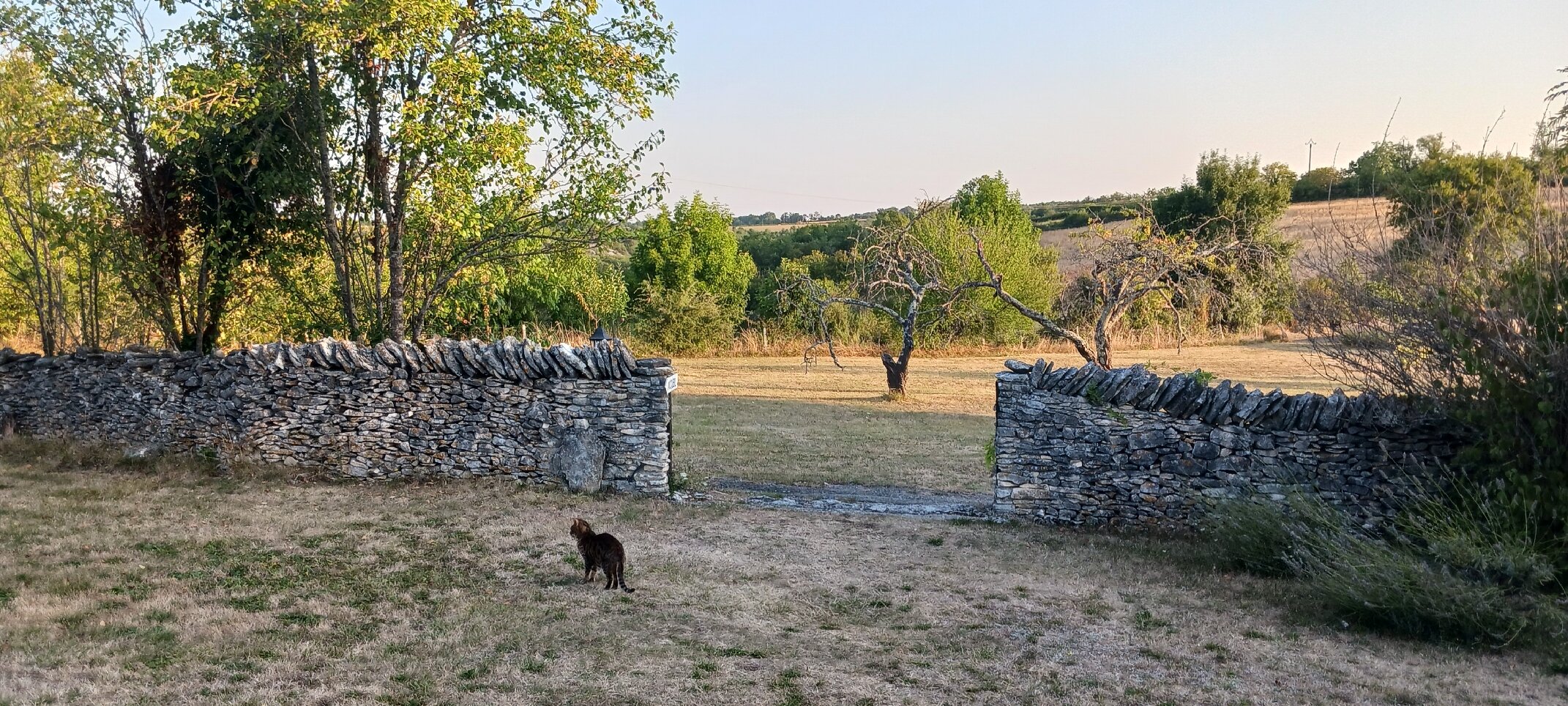 Domaine Lagardelle-官方