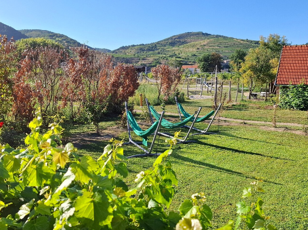 ad vineas Gastehaus Nikolaihof主图